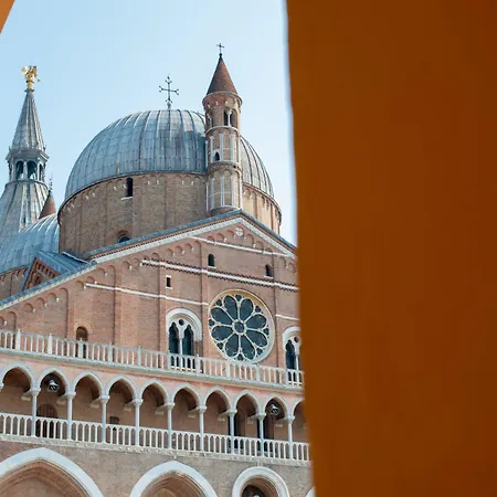 بيت ضيافة C20